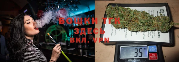 сатива Приозерск