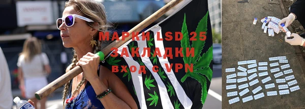сатива Приозерск