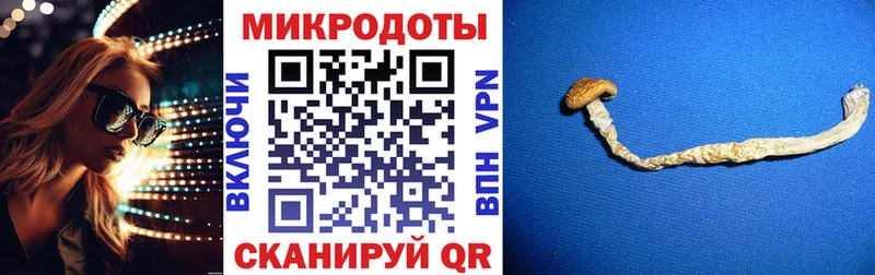 дарк нет телеграм  Серафимович  Галлюциногенные грибы GOLDEN TEACHER 